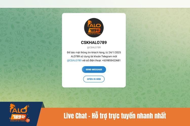 Live Chat – Hỗ trợ trực tuyến nhanh nhất