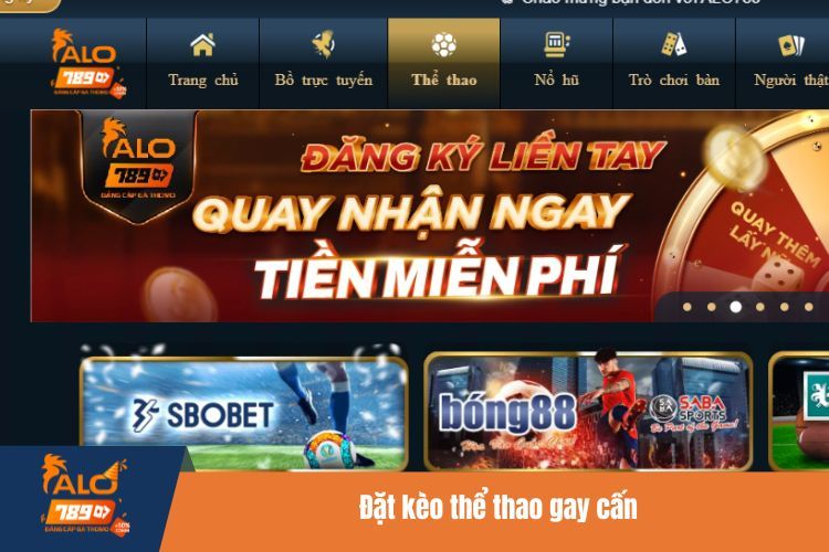 Đặt kèo thể thao gay cấn